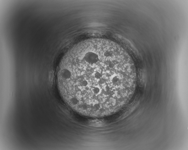 X0000101390511200807211016