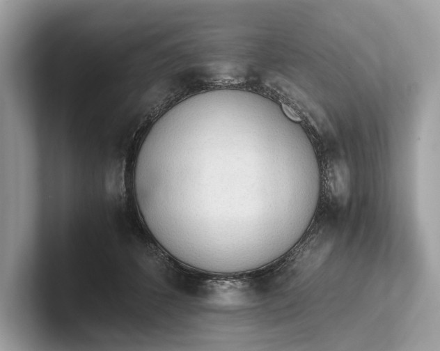 X0000101390512200807211016