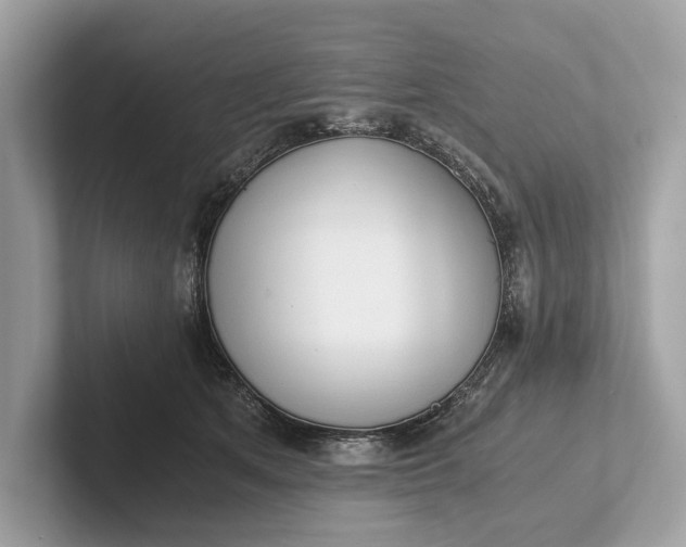 X0000101390513200807211016