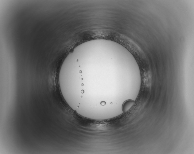 X0000101390514200807211016