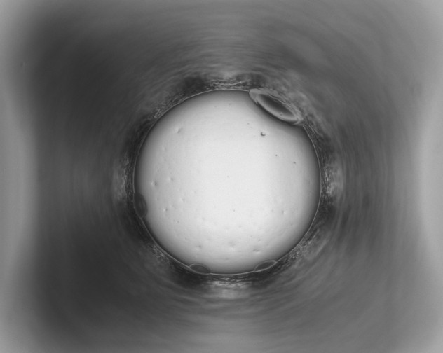 X0000101390515200807211016