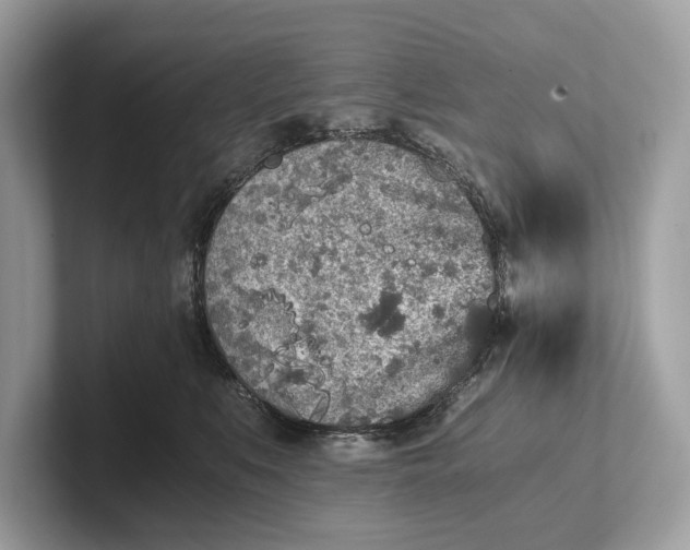 X0000101390519200807211015