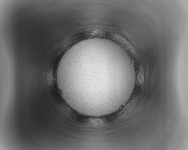 X0000101390520200807211015