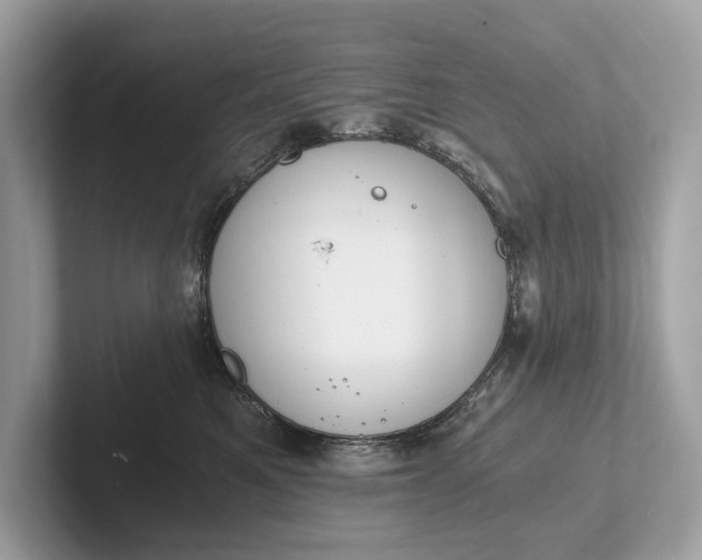 X0000101390521200807211015