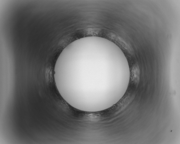 X0000101390522200807211015