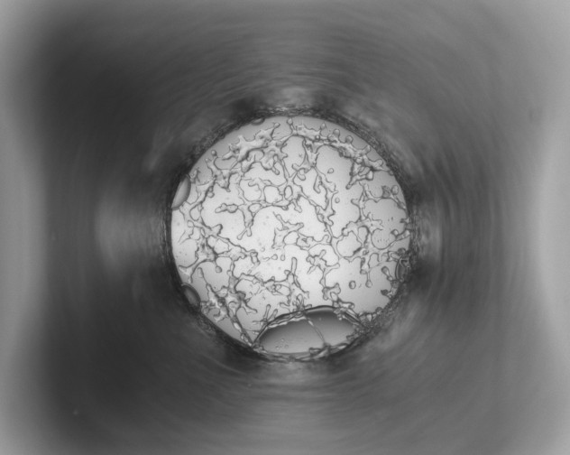 X0000101390523200807211015