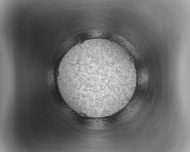 X0000101390524200807211015