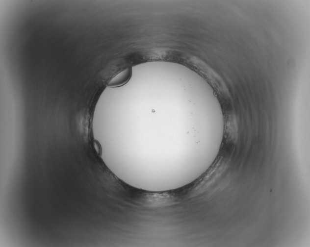 X0000101390525200807211015