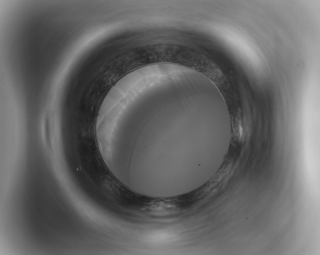 X0000101390526200807211015