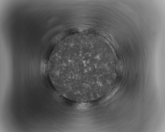 X0000101390527200807211015