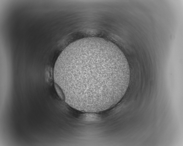 X0000101390528200807211015