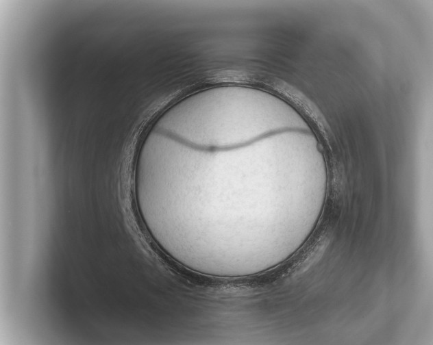 X0000101390529200807211015