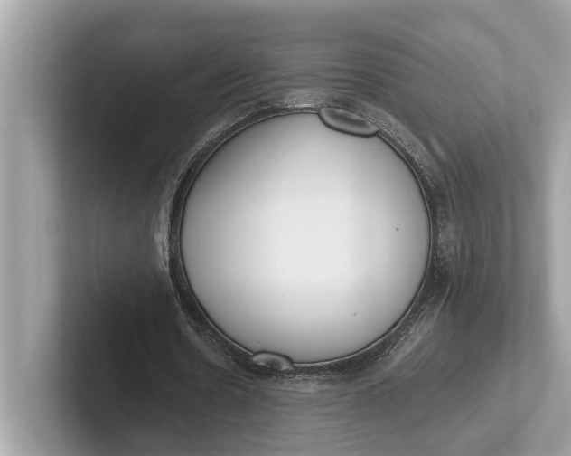 X0000101390530200807211015