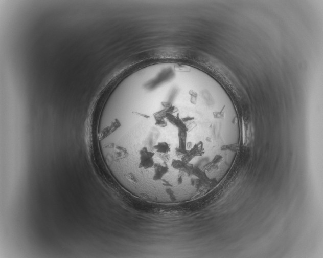 X0000101390531200807211015