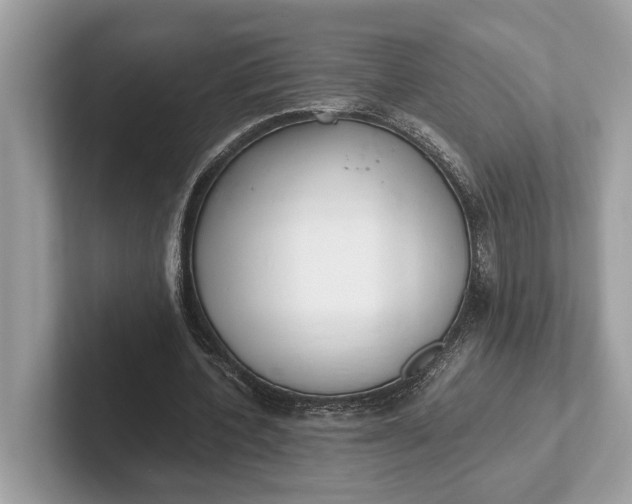 X0000101390532200807211015