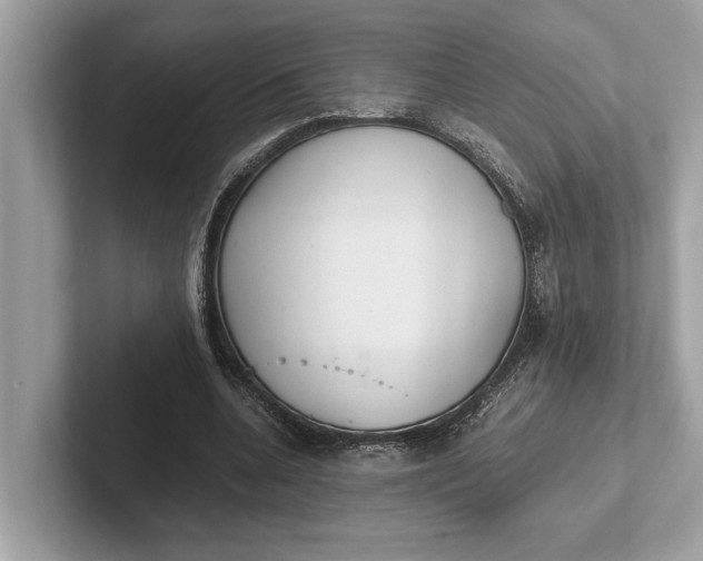 X0000101390536200807211015