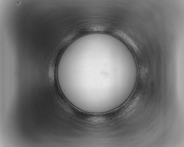 X0000101390537200807211015