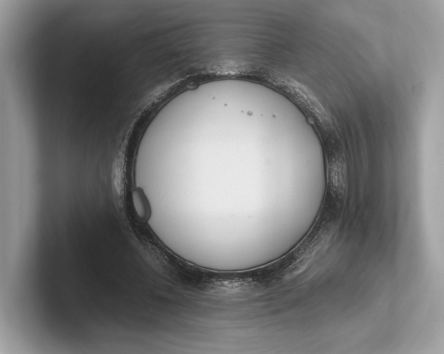 X0000101390540200807211015