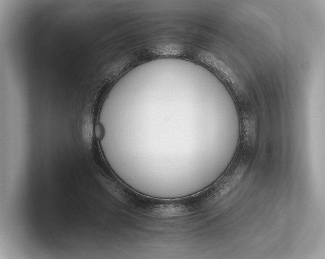 X0000101390541200807211015