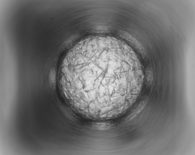 X0000101390542200807211015