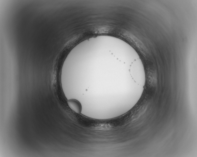 X0000101390543200807211015