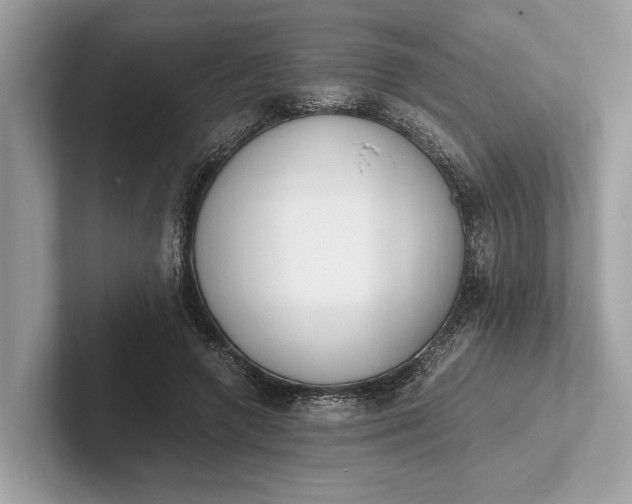 X0000101390546200807211015