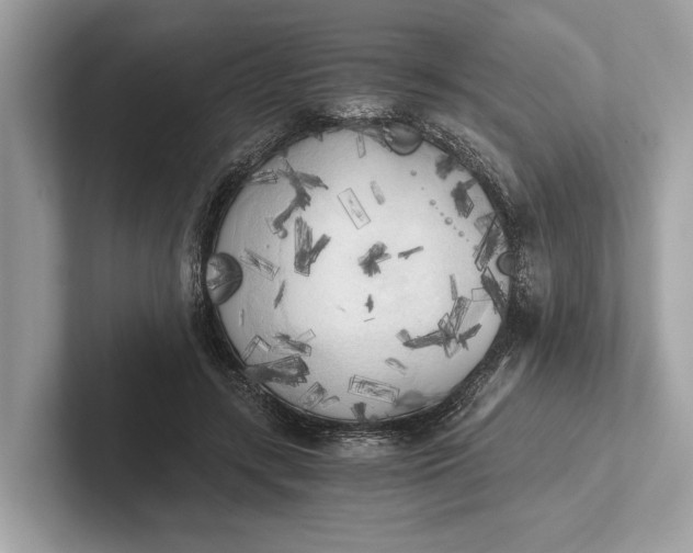 X0000101390547200807211015