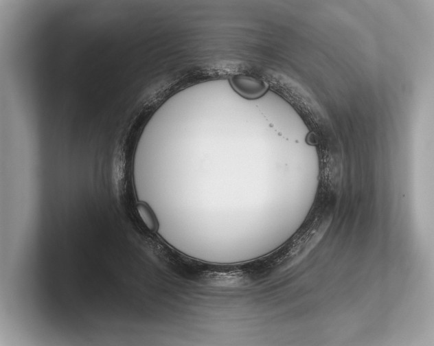 X0000101390548200807211015