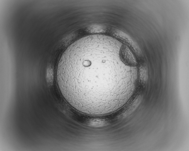 X0000101390549200807211015