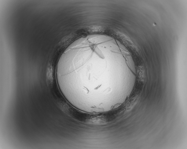 X0000101390550200807211015