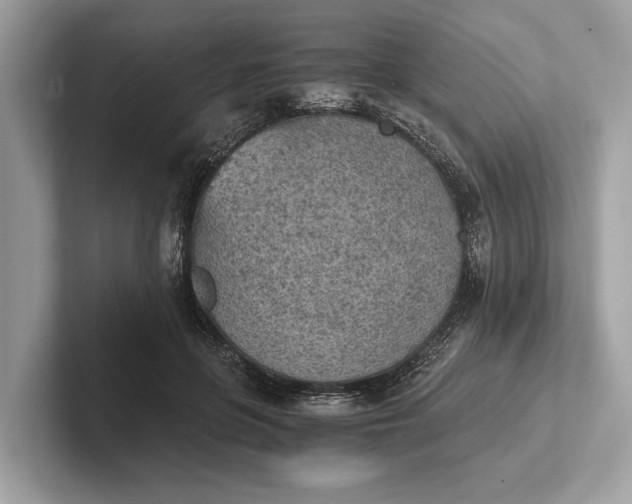 X0000101390551200807211015