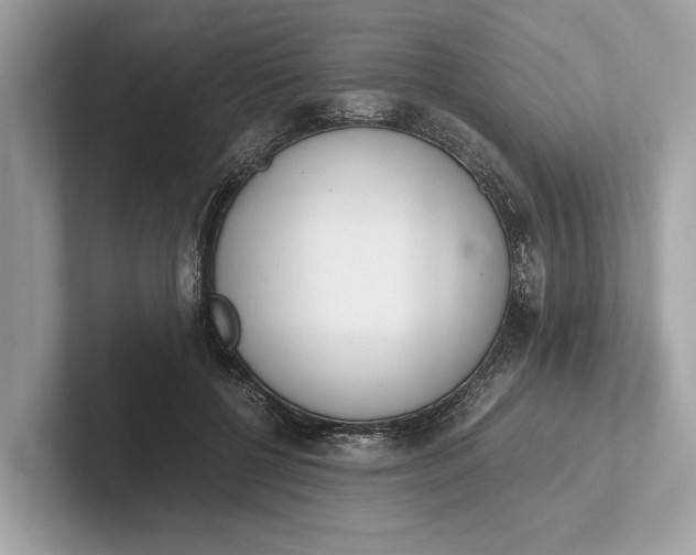 X0000101390552200807211015