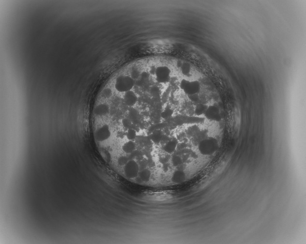 X0000101390553200807211015