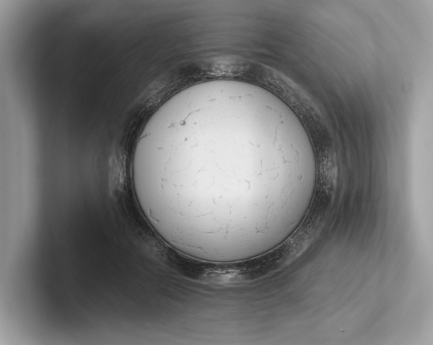 X0000101390554200807211015