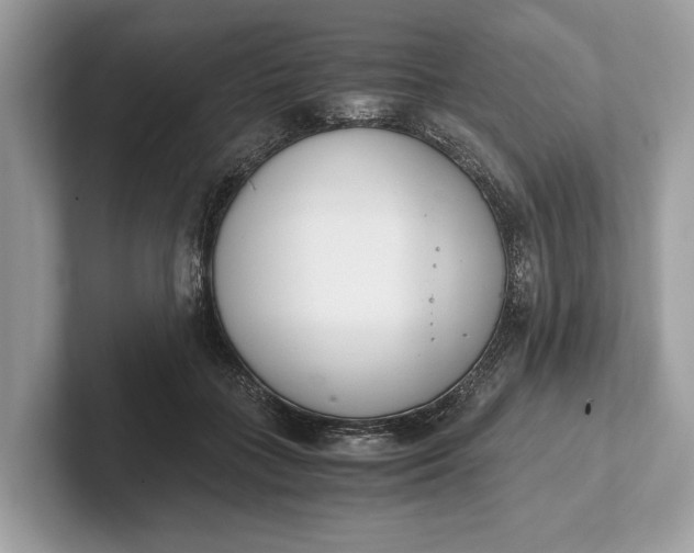 X0000101390555200807211015