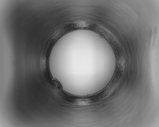 X0000101390556200807211015