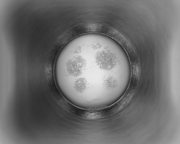 X0000101390557200807211015