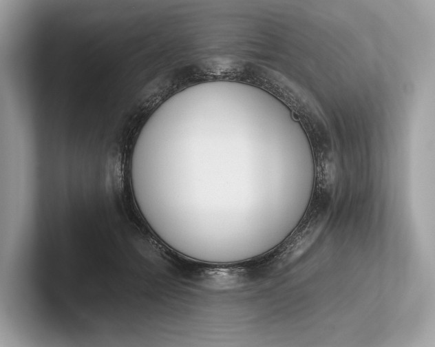 X0000101390558200807211015