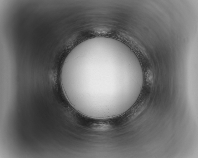 X0000101390559200807211015