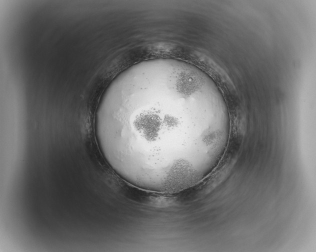 X0000101390561200807211015