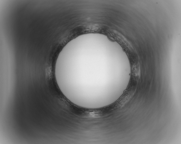 X0000101390564200807211015