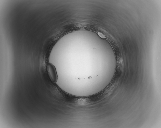 X0000101390566200807211015