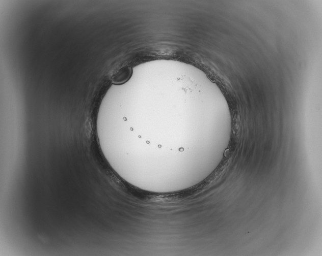 X0000101390568200807211015