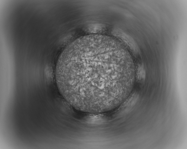 X0000101390569200807211015