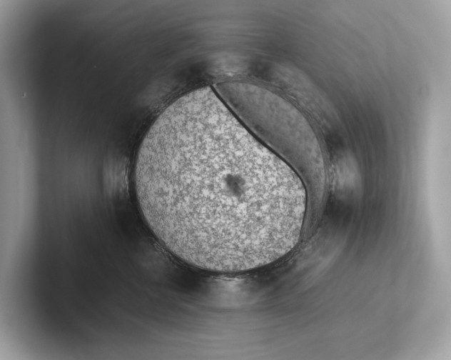 X0000101390570200807211015