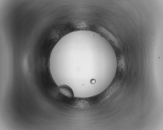 X0000101390572200807211015