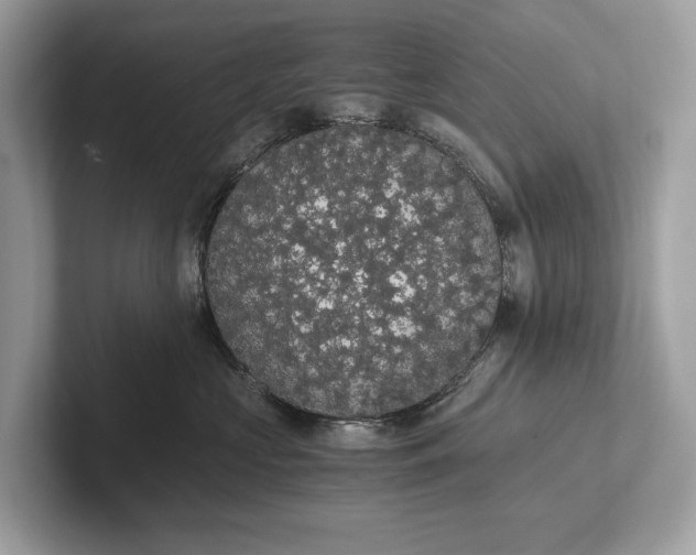 X0000101390573200807211015