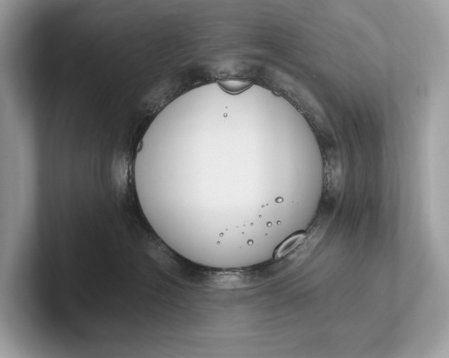 X0000101390574200807211015