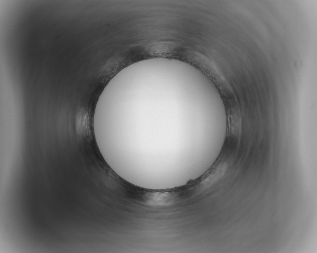 X0000101390575200807211015