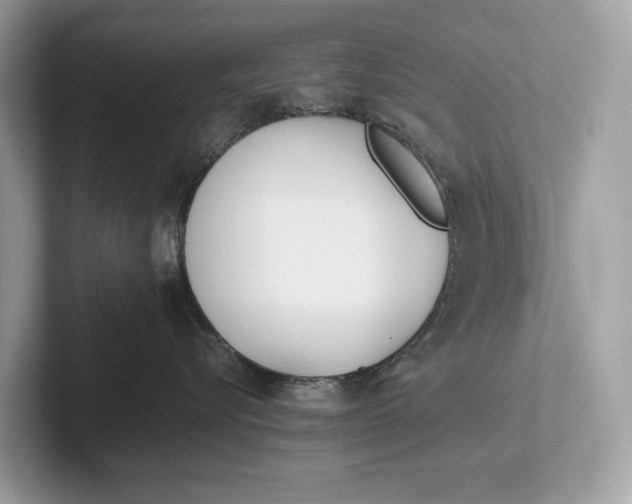 X0000101390576200807211015